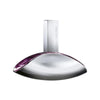 Calvin Klein Euphoria EDP For Women 100 ML