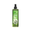 LO'rex Snow Drop Body Mist 250 ML