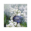 Kylie Minogue Disco Darling EDP For Women 75 ML